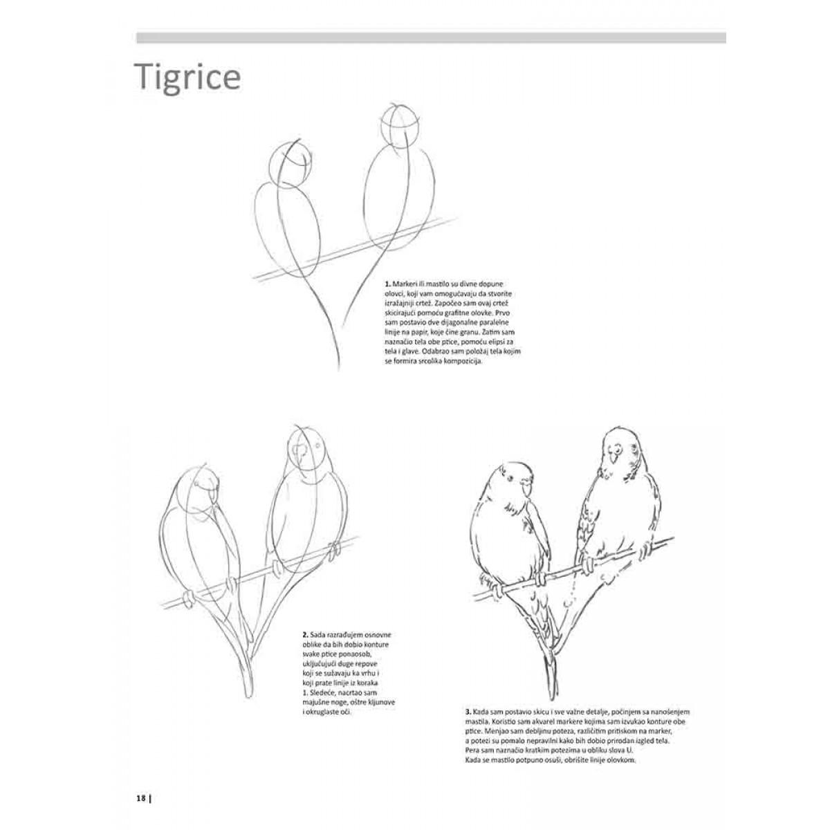 VEŽBANKA ZA VELIKU ŠKOLU CRTANJA ŽIVOTINJA 