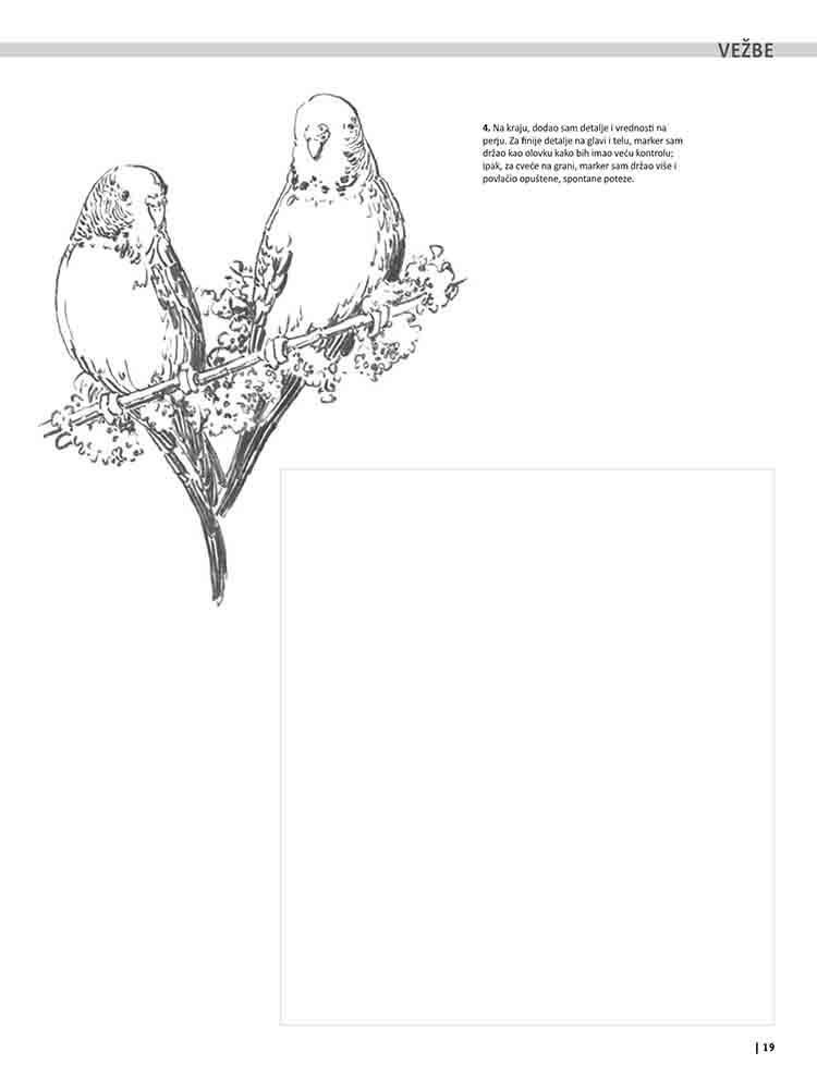 VEŽBANKA ZA VELIKU ŠKOLU CRTANJA ŽIVOTINJA 