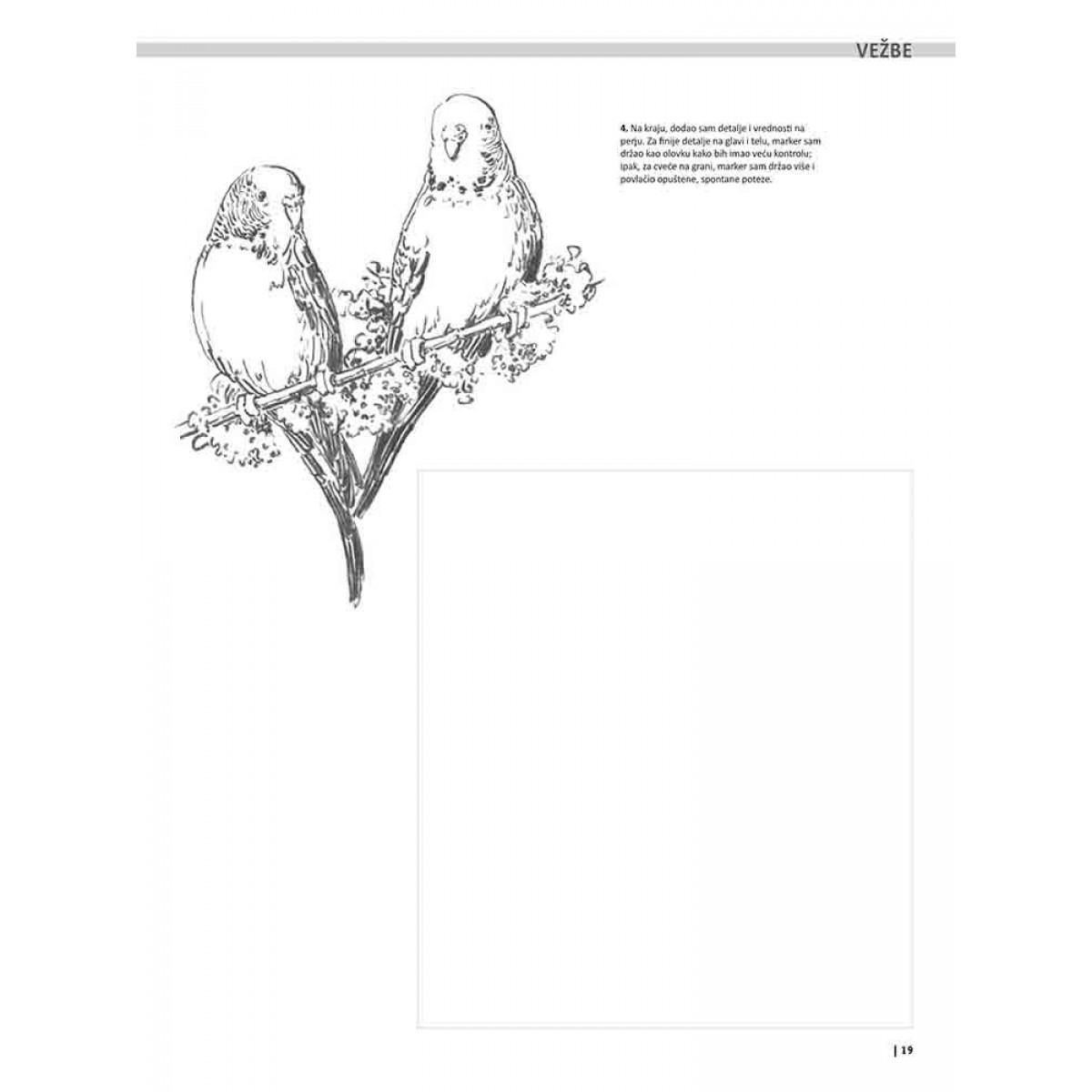 VEŽBANKA ZA VELIKU ŠKOLU CRTANJA ŽIVOTINJA 