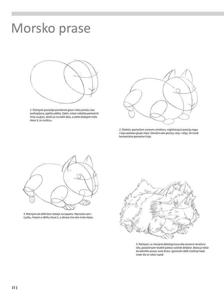 VEŽBANKA ZA VELIKU ŠKOLU CRTANJA ŽIVOTINJA 