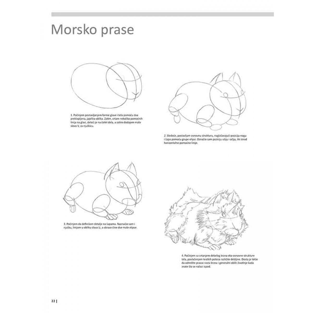 VEŽBANKA ZA VELIKU ŠKOLU CRTANJA ŽIVOTINJA 