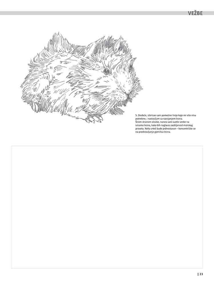VEŽBANKA ZA VELIKU ŠKOLU CRTANJA ŽIVOTINJA 