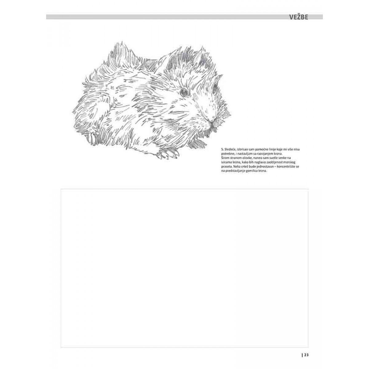 VEŽBANKA ZA VELIKU ŠKOLU CRTANJA ŽIVOTINJA 
