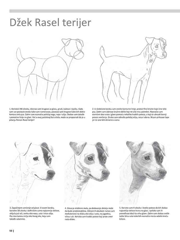 VEŽBANKA ZA VELIKU ŠKOLU CRTANJA ŽIVOTINJA 