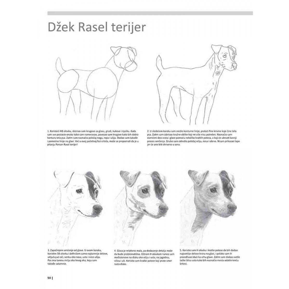 VEŽBANKA ZA VELIKU ŠKOLU CRTANJA ŽIVOTINJA 