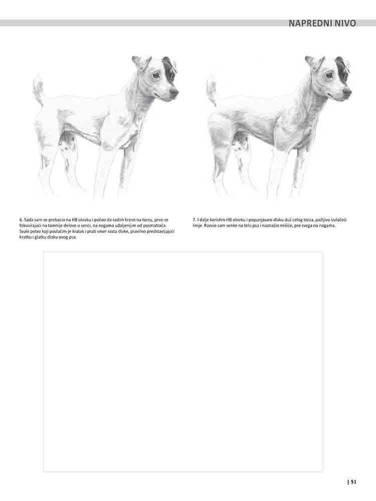 VEŽBANKA ZA VELIKU ŠKOLU CRTANJA ŽIVOTINJA 