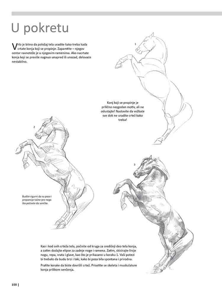 VEŽBANKA ZA VELIKU ŠKOLU CRTANJA ŽIVOTINJA 