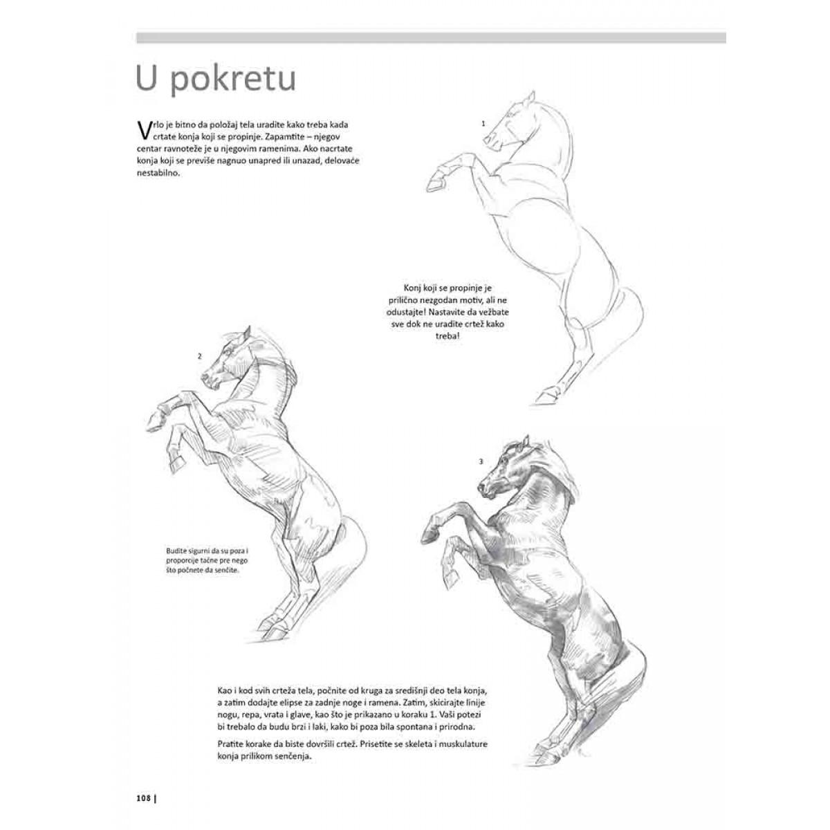 VEŽBANKA ZA VELIKU ŠKOLU CRTANJA ŽIVOTINJA 