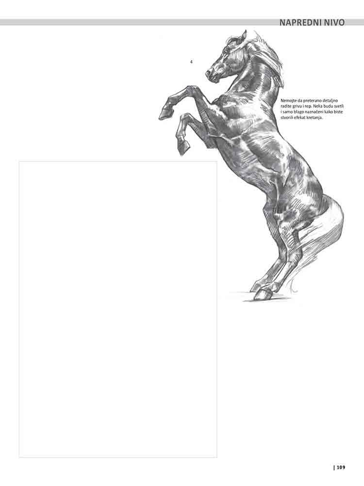 VEŽBANKA ZA VELIKU ŠKOLU CRTANJA ŽIVOTINJA 