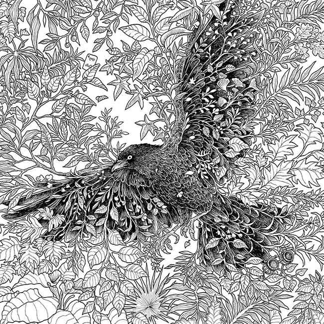 SVET FANTASTIKE - BOJANKA 