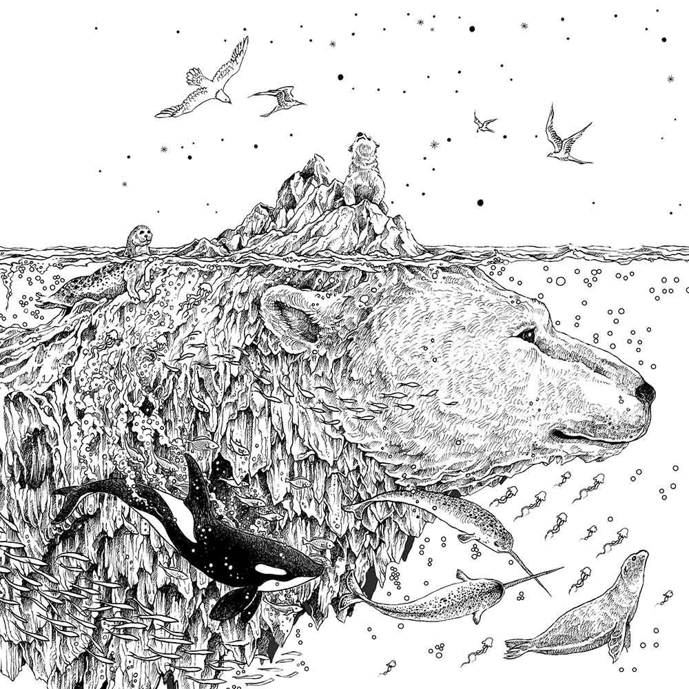 SVET FANTASTIKE - BOJANKA 