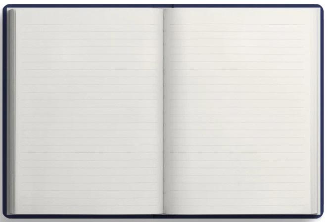 Notes MEMORY OF A GOLDFISH 