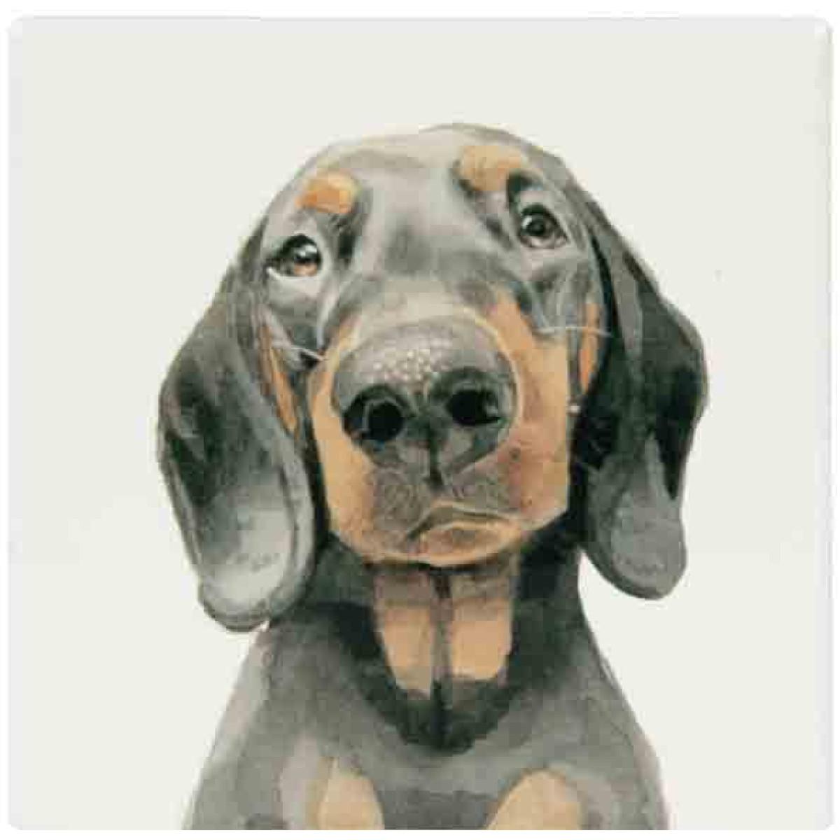 Podmetač JAZAVIČAR 