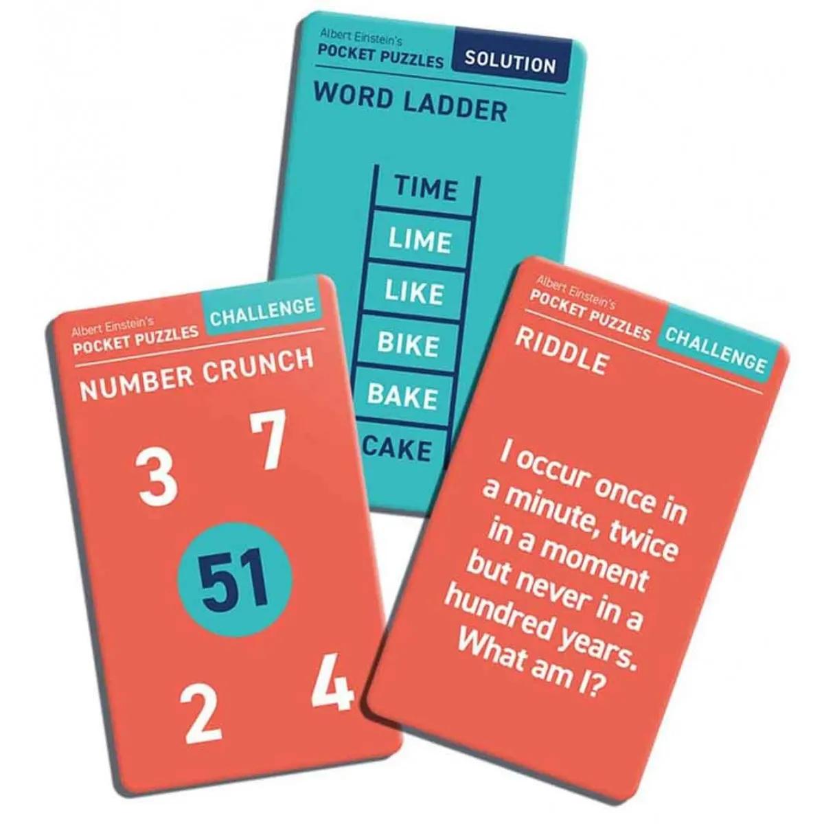 PROFESSOR PUZZLE Mozgalice PUZZLE CHALLENGES SET OF 50 IN TIN 