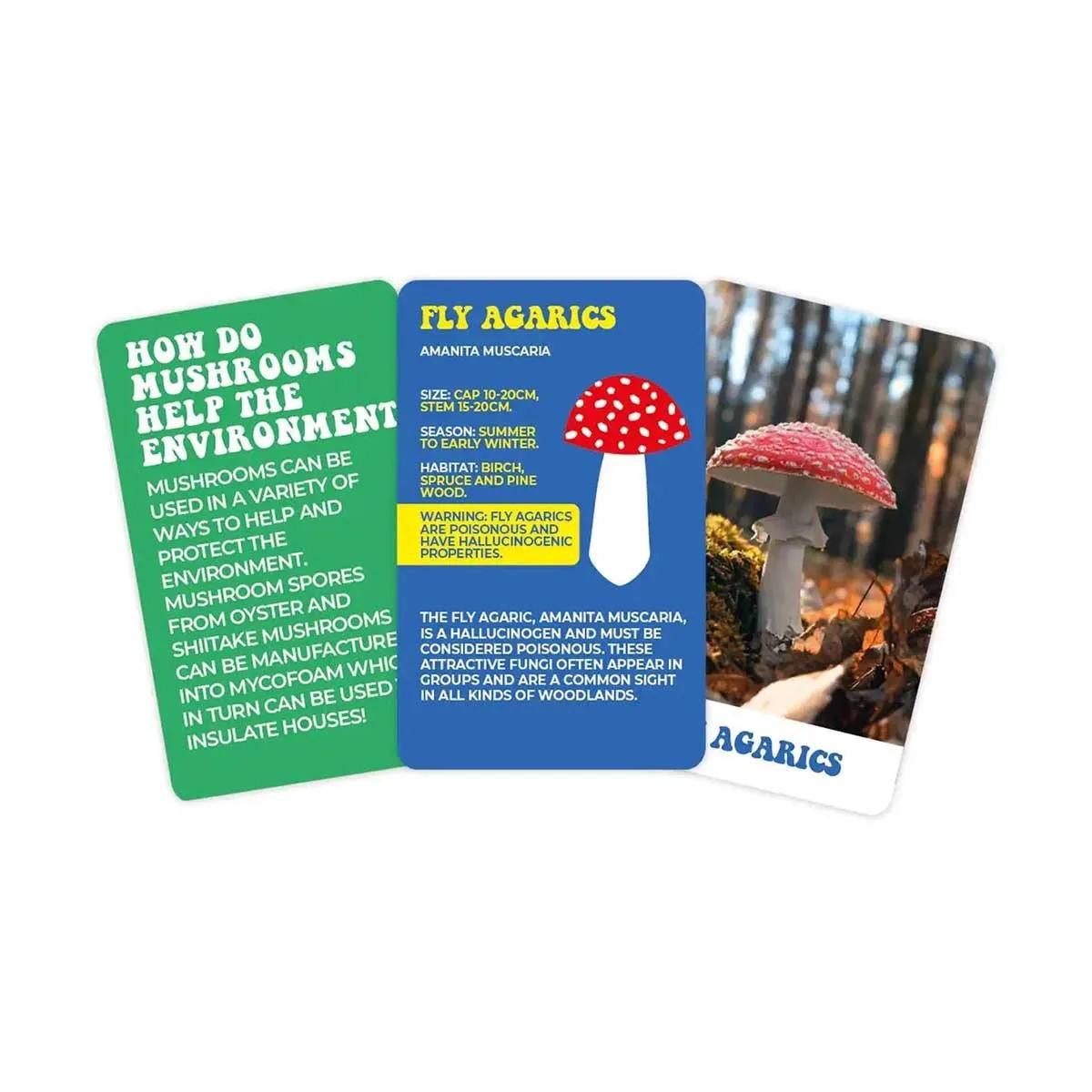 Kartice THE WONDERFUL WORLD OF MUSHROOMS 