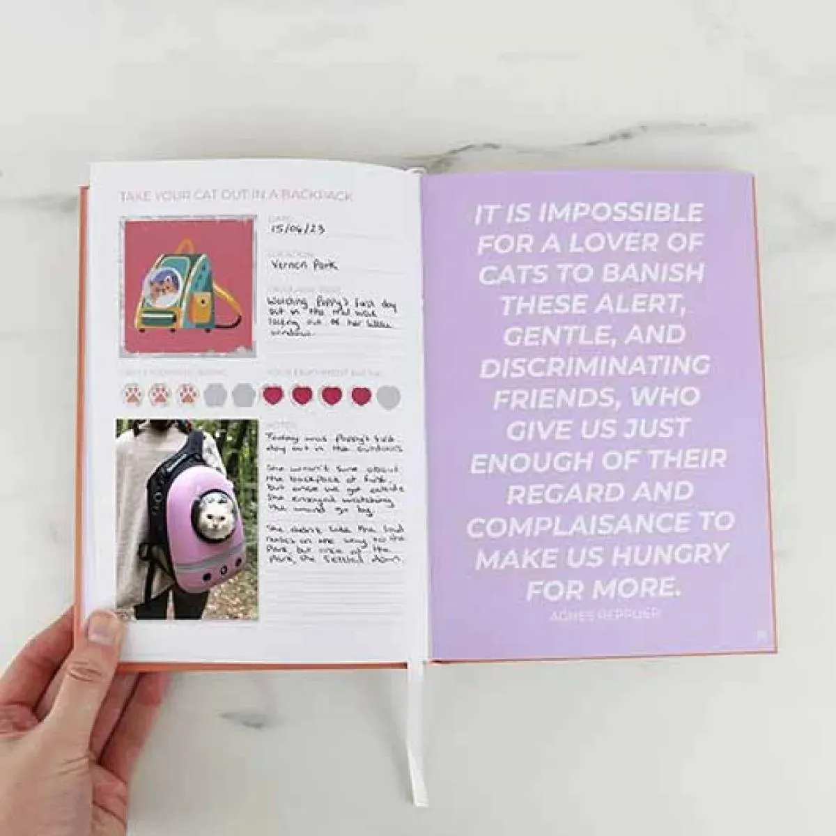 Greb-greb knjiga SCRATCH BOOK - MY CAT JOURNAL 