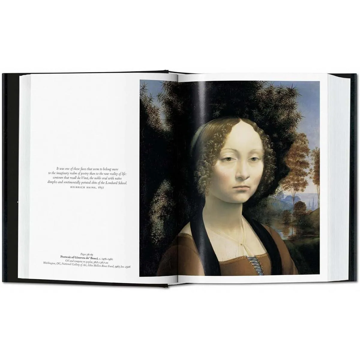 LEONARDO 45 