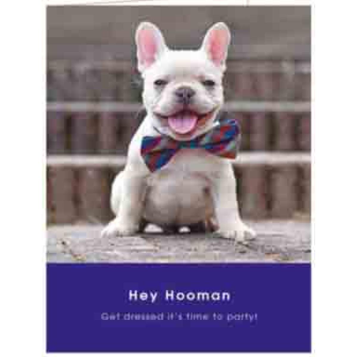 Čestitka FRENCH BULLDOG PARTY 