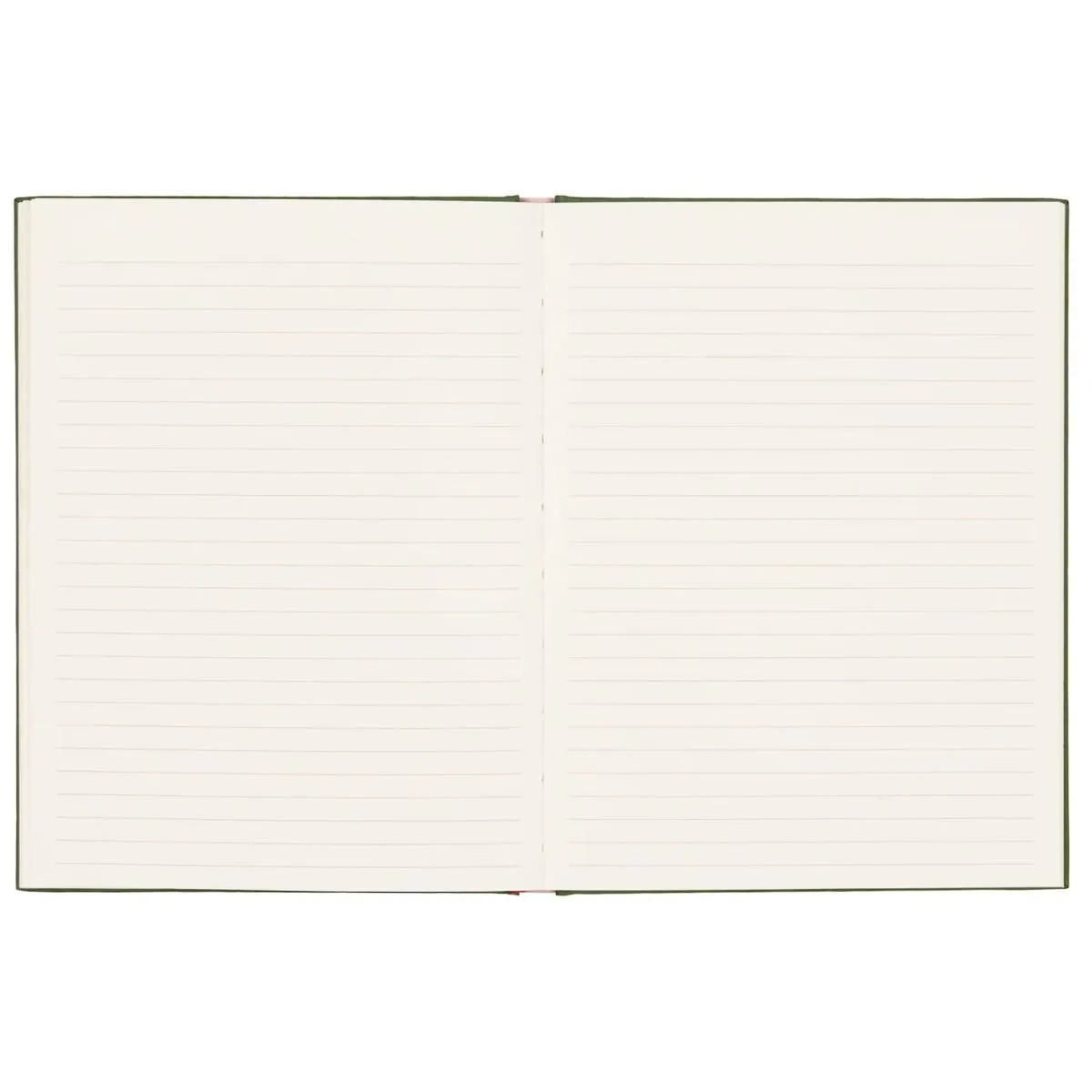 DOPO notes ZMIJA 