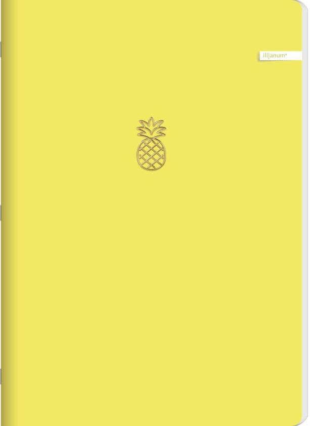 Sveska uske i široke linije A5 SOFT TOUCH 60 listova (Više vrsta) 