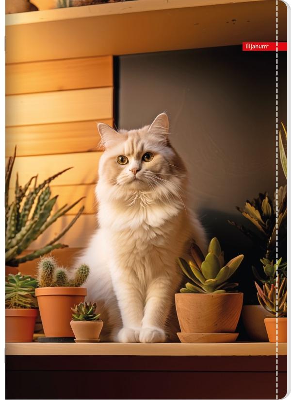 Sveska na kvadratiće A5 PETS 52 lista (Više vrsta) 