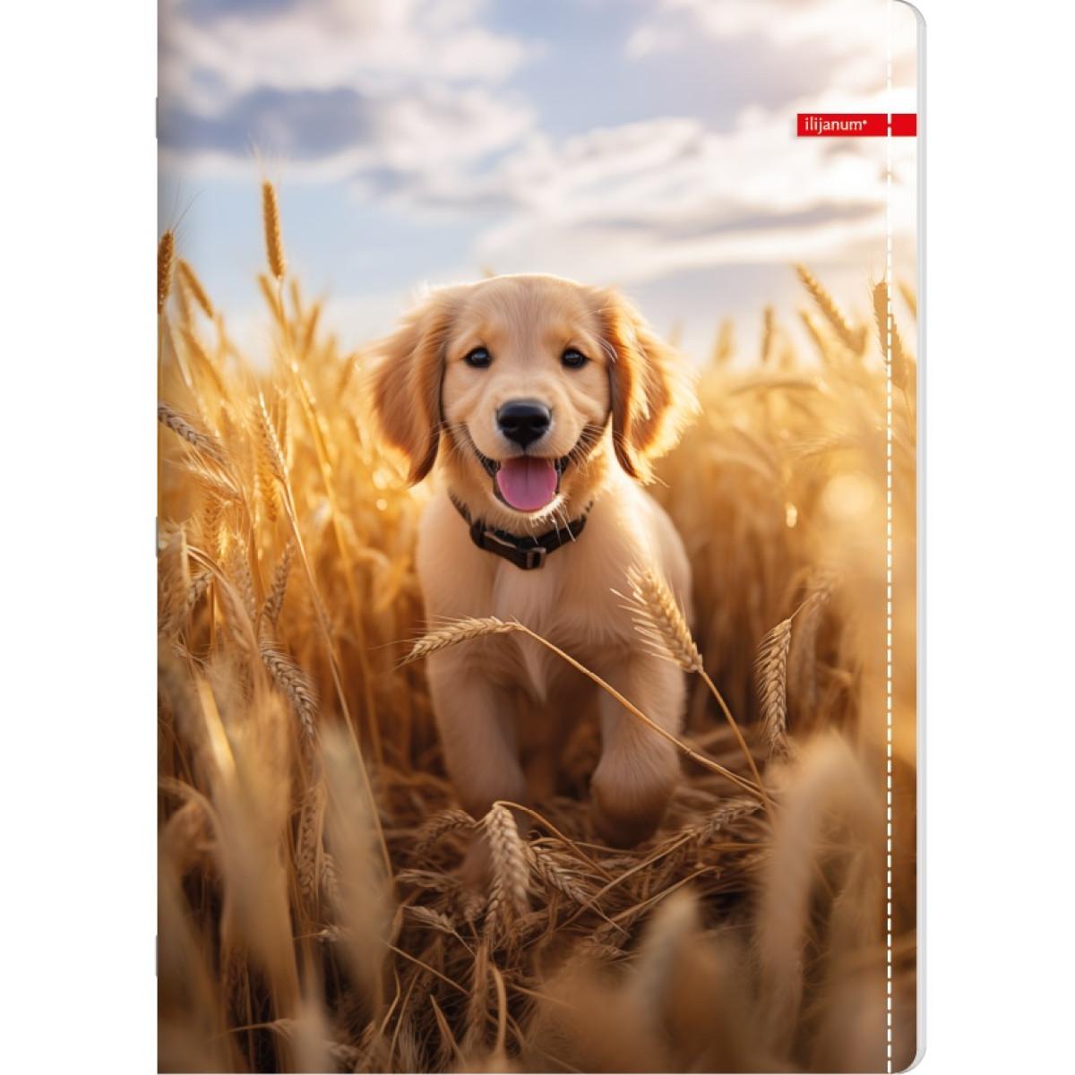 Sveska na linije A5 PETS 52 lista (Više vrsta) 