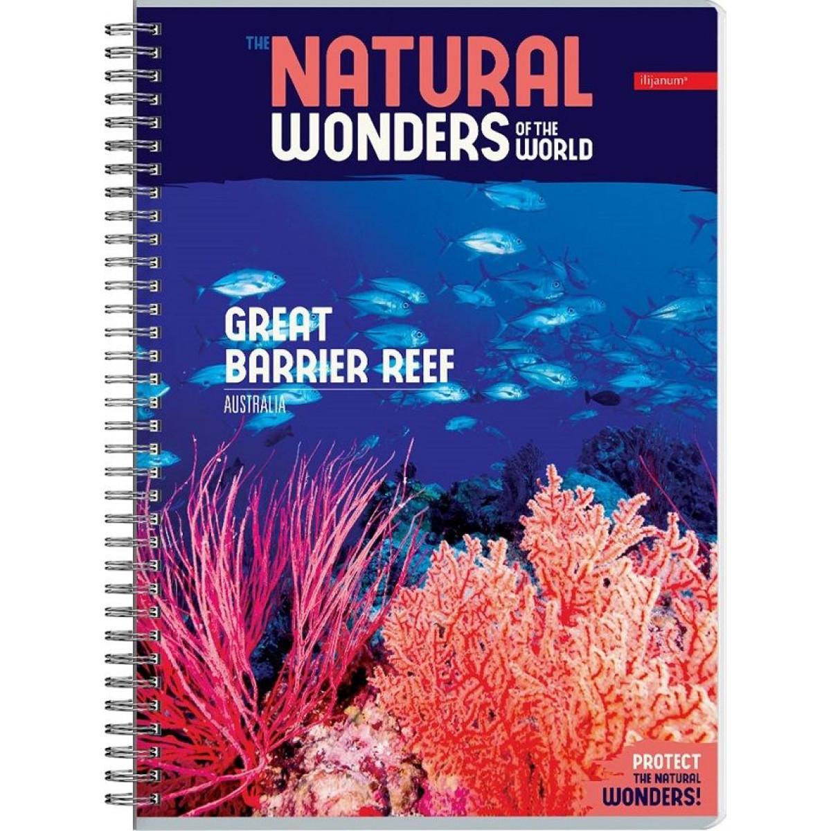 Sveska na kvadratiće A4 sa spiralom NATURAL WONDERS 80 listova (Više vrsta) 