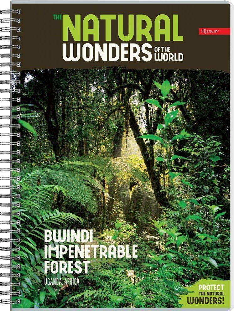 Sveska na kvadratiće A4 sa spiralom NATURAL WONDERS 80 listova (Više vrsta) 