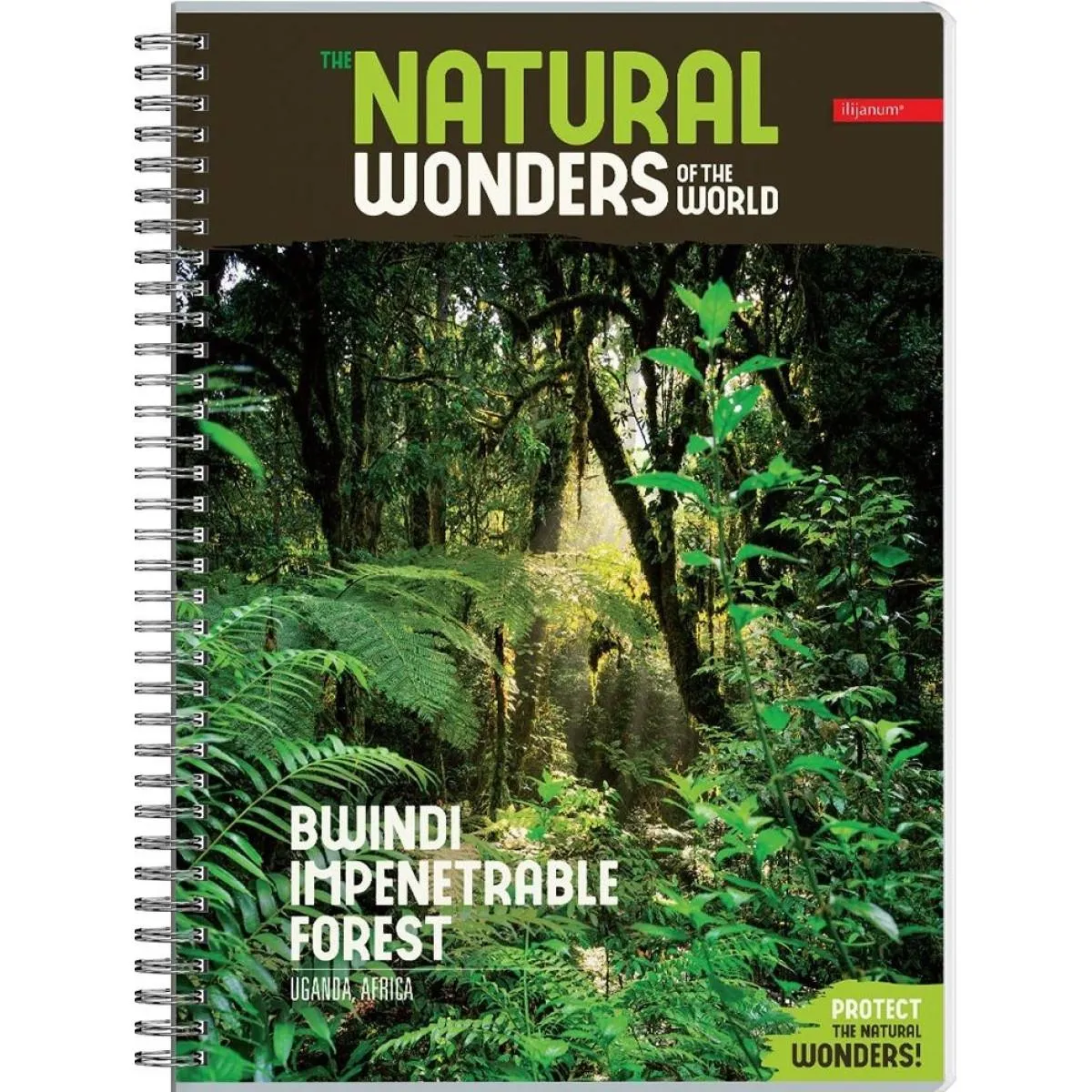 Sveska na kvadratiće A4 sa spiralom NATURAL WONDERS 80 listova (Više vrsta) 