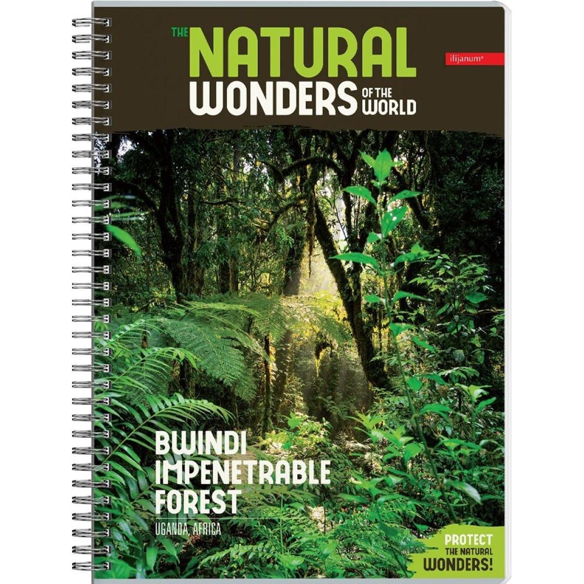 Sveska na linije A4 sa spiralom NATURAL WONDERS 80 listova (Više vrsta) 