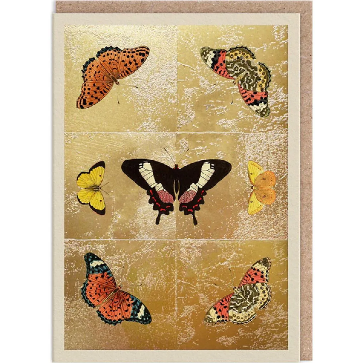 Čestitka BUTTERFLY SYMMETRY 