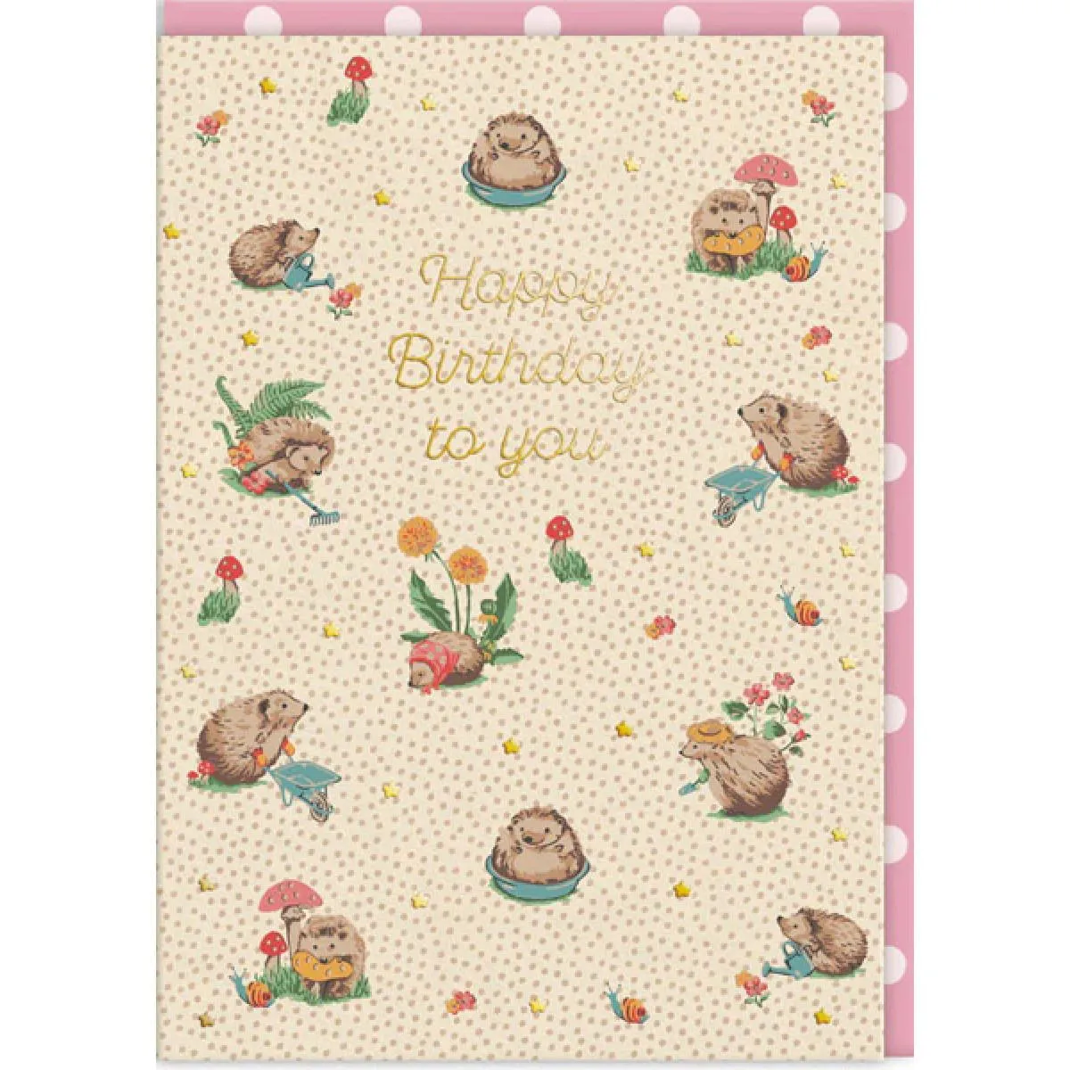 Rođendanska čestitka CATH KIDSTON HEDGEHOGS 