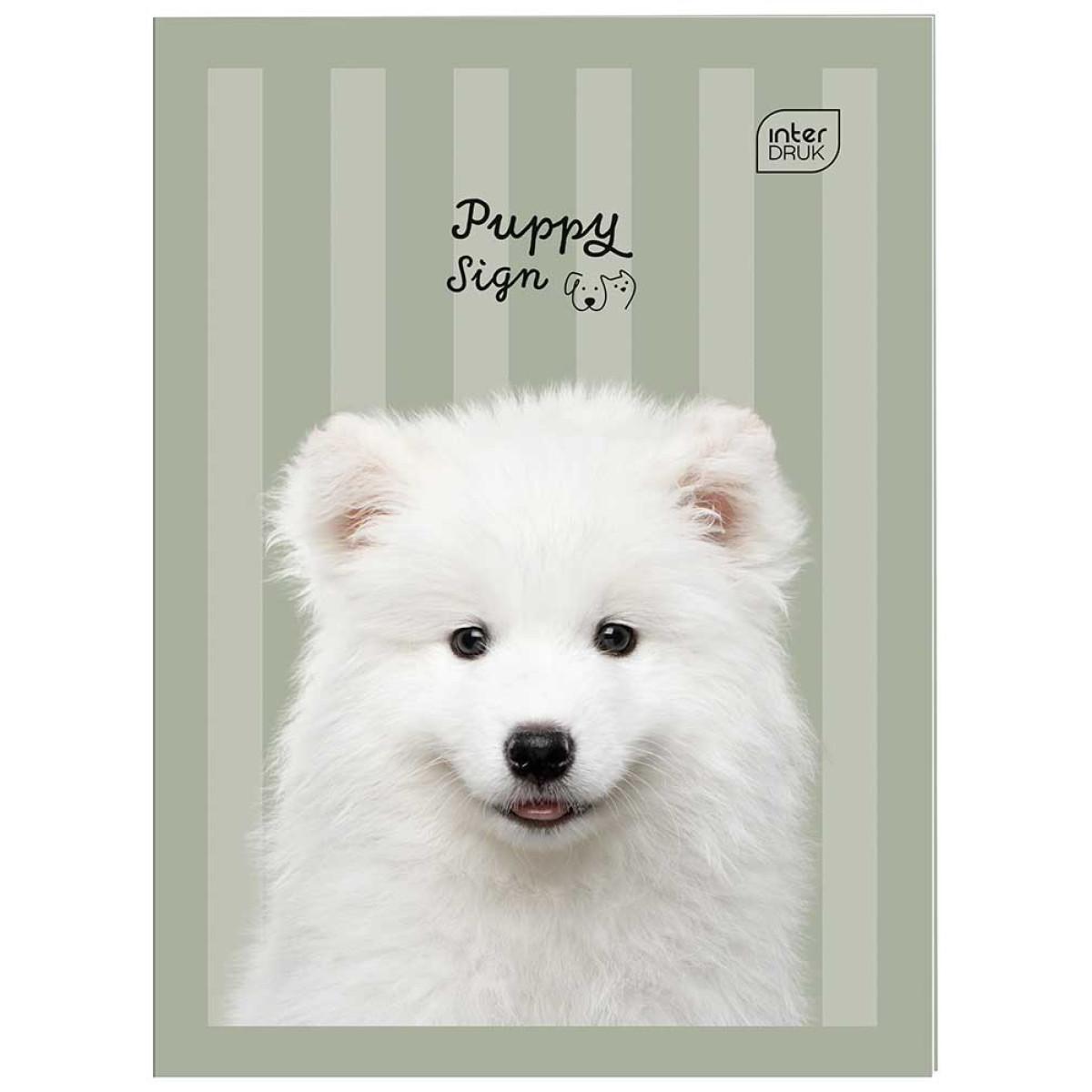 Sveska na kvadratiće A6 PUPPY 32 lista (Više vrsta) 