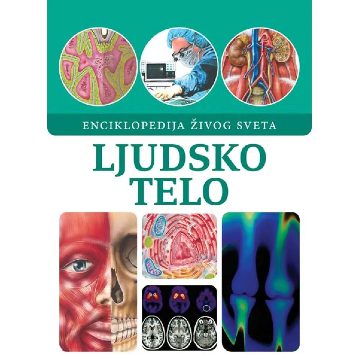 LJUDSKO TELO 