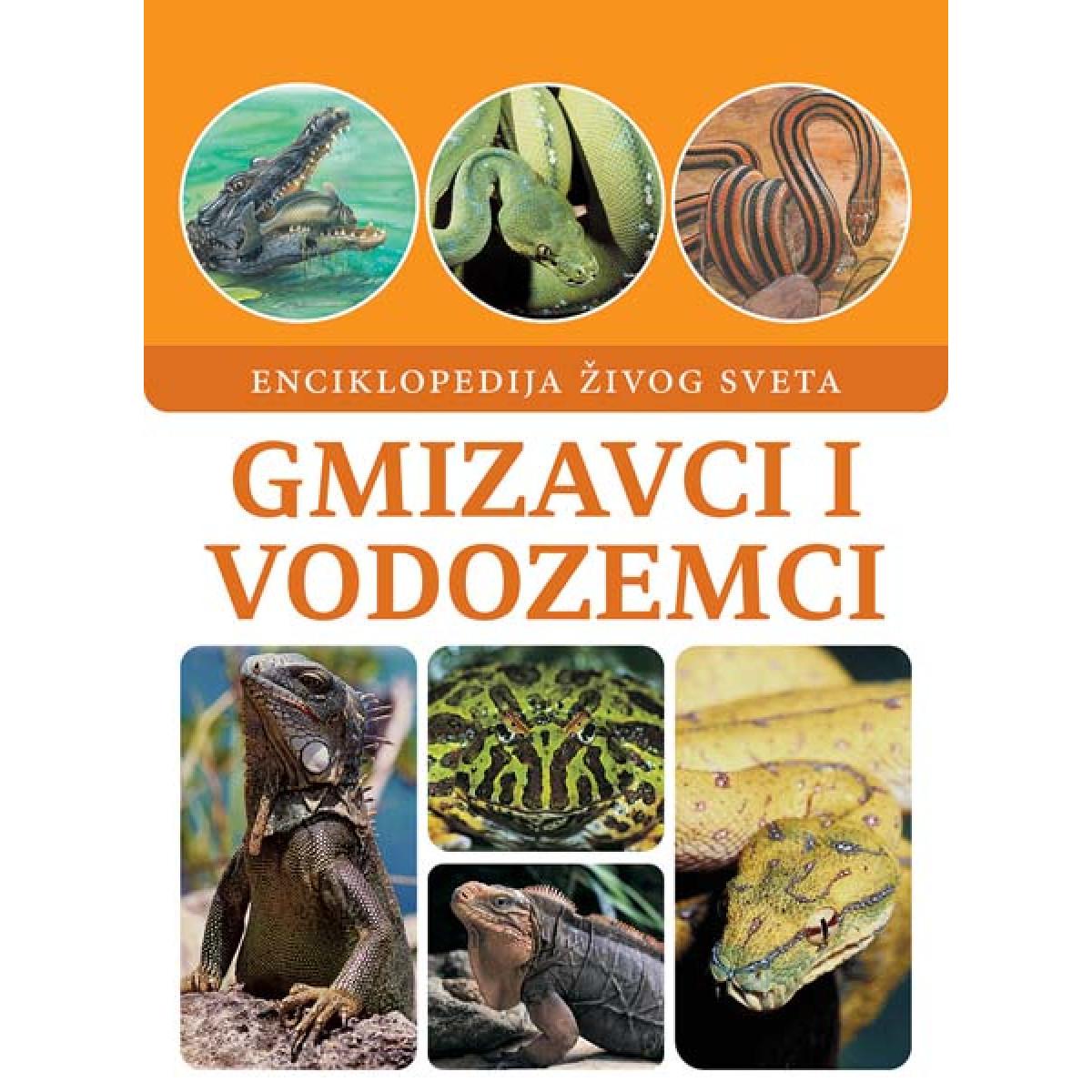 GMIZAVCI I VODOZEMCI 