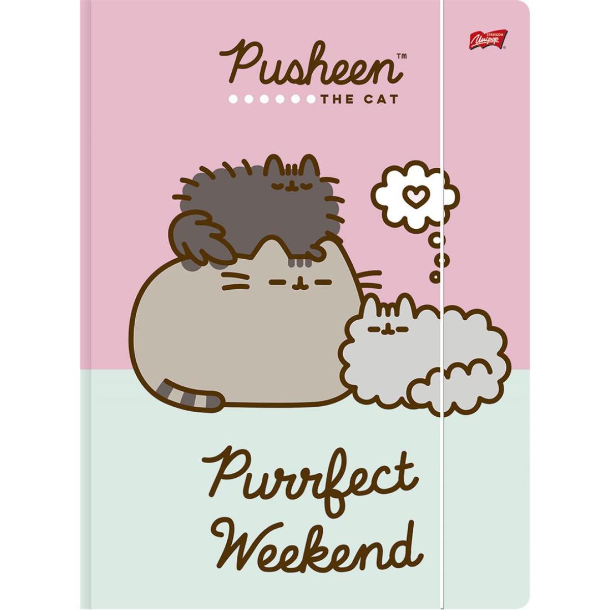 Fascikla A4 PUSHEEN THE CAT (DVE VRSTE) 