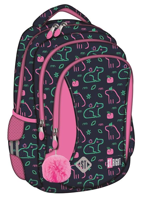 Ranac školski CAPYBARA 15'' 