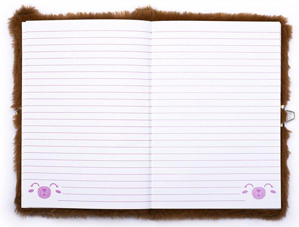 Dnevnik sa ključićem i hemijska olovka 