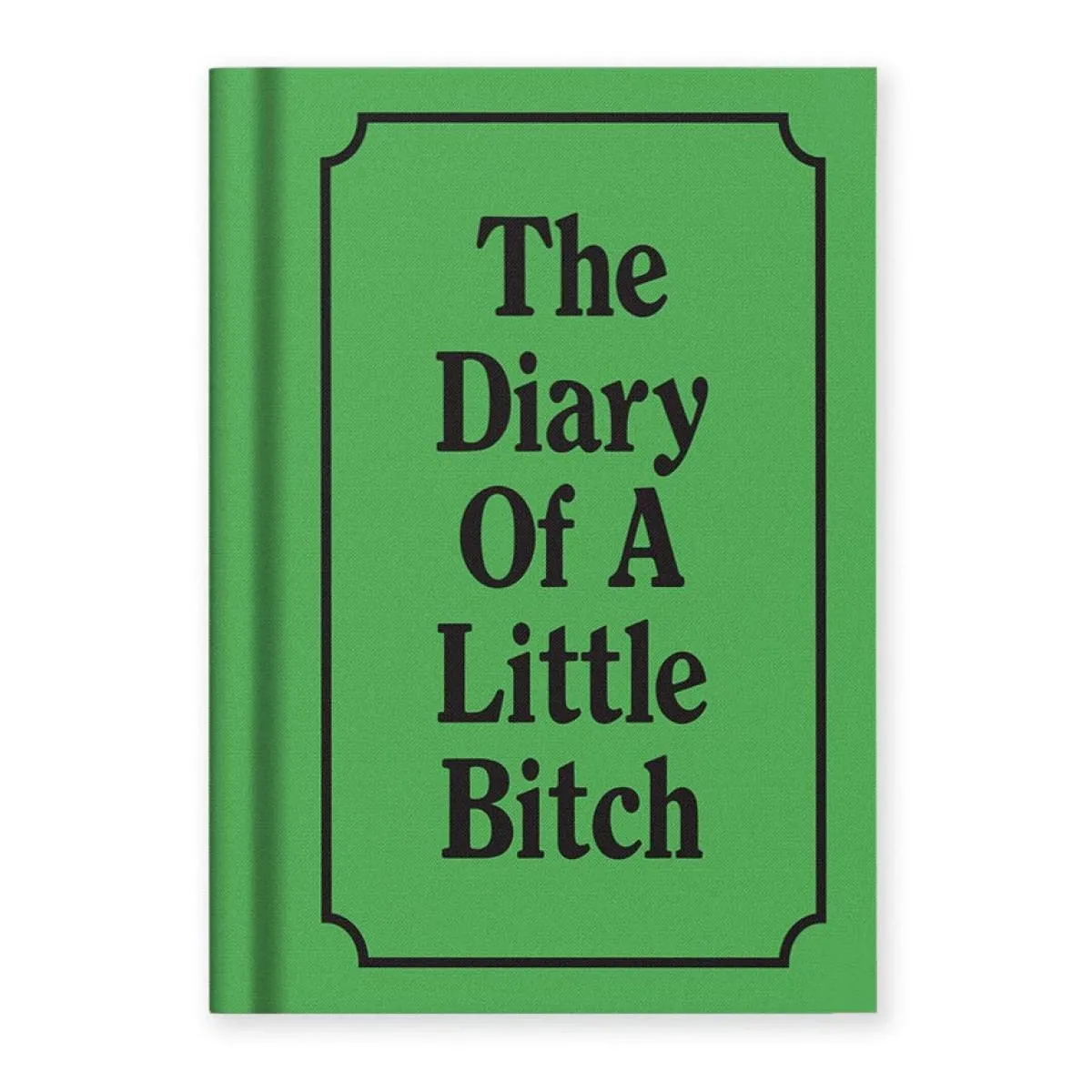 Notes A7 THE DIARY OF A LITTLE BITCH 