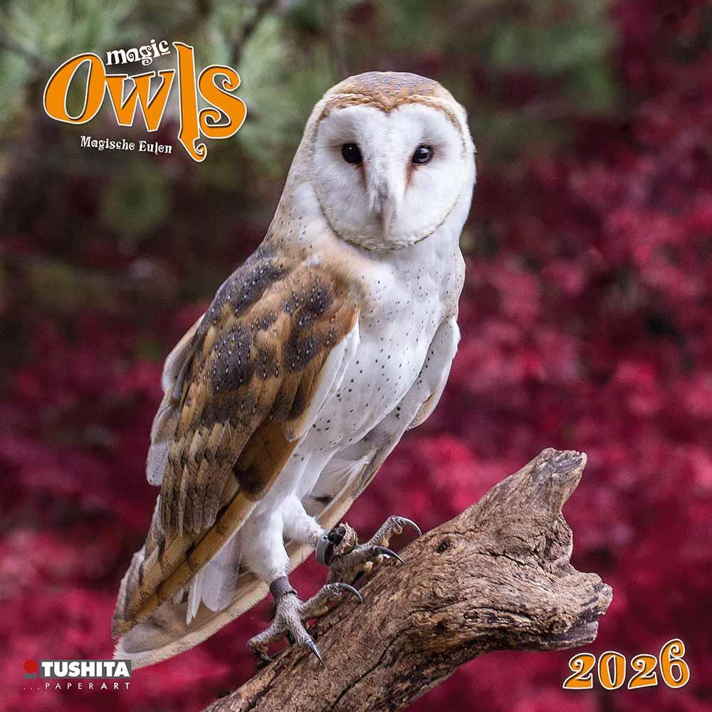 Zidni kalendar 2026 MAGIC OWLS 