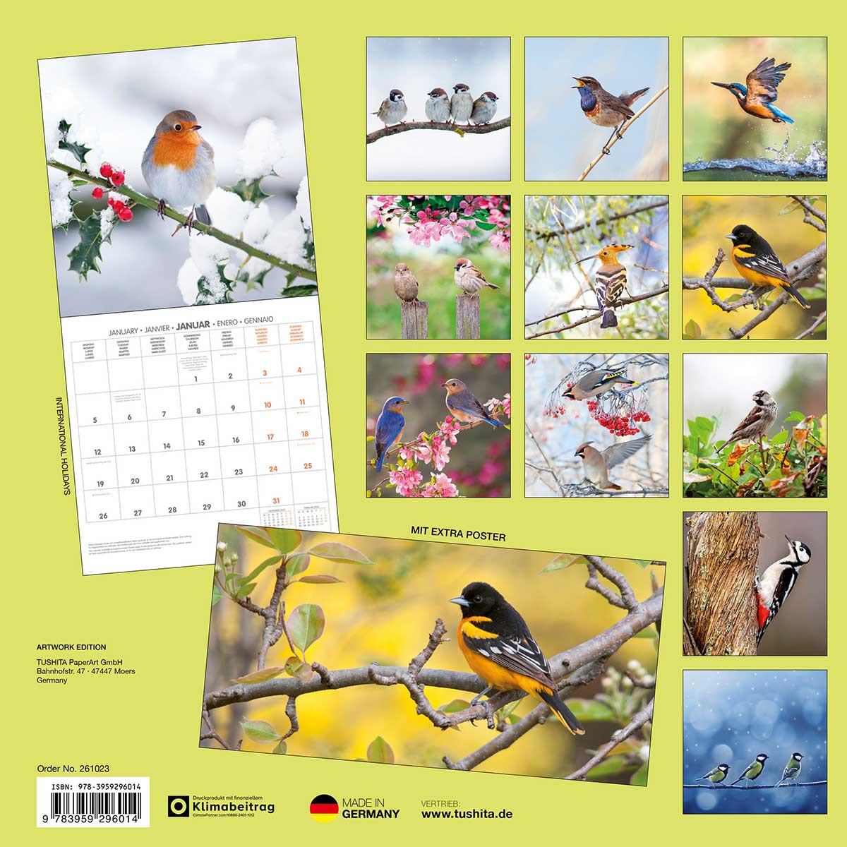 Zidni kalendar 2026 BIRDS 