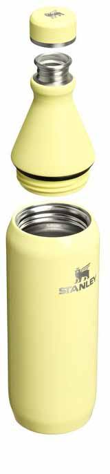 STANLEY ALL DAY SLIM flaša 0.6L POMELO GLOSS 