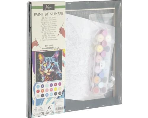 Kreativni set oboji po bojama MAČKA 30x30cm 