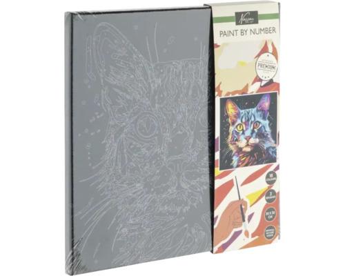 Kreativni set oboji po bojama MAČKA 30x30cm 