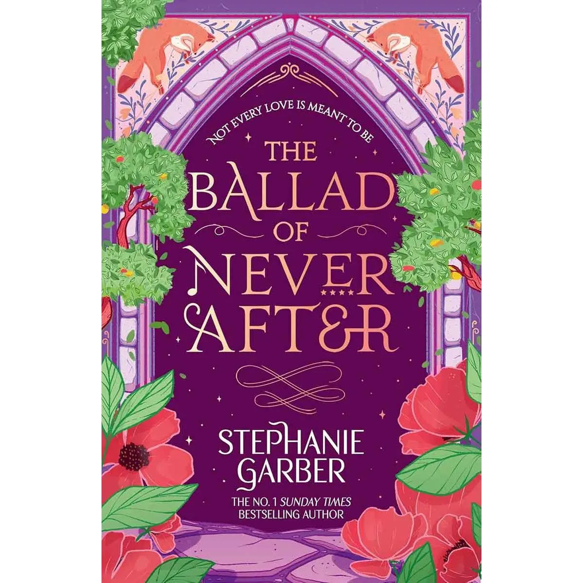 THE BALLAD OF NEVER AFTER book 2 TikTok Hit pb 