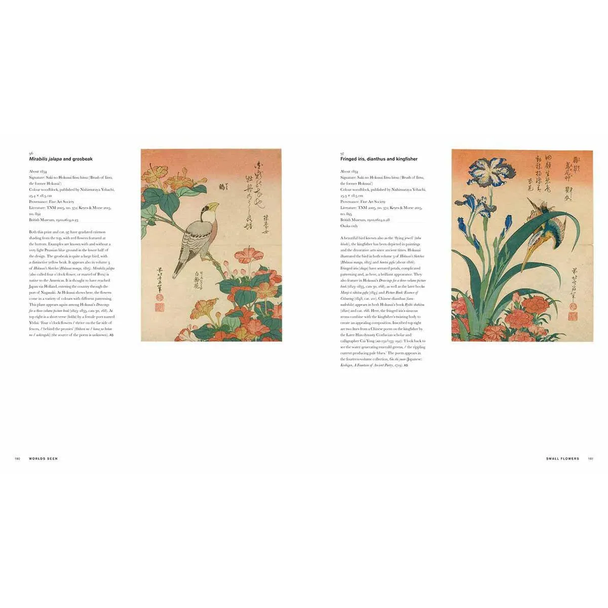 HOKUSAI 