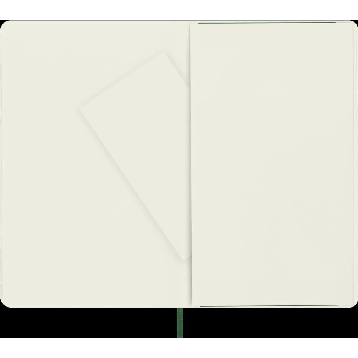 Notes na kvadratiće 13x21 LG MOLESKINE Myrtle Green soft 