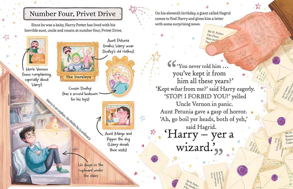 HARRY POTTER POCKET POTTERS 