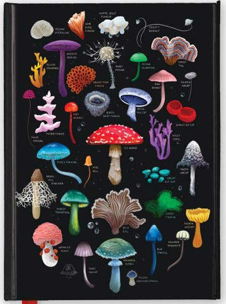 Notes ANNA STEAD: MUSHROOMS & FUNGI 