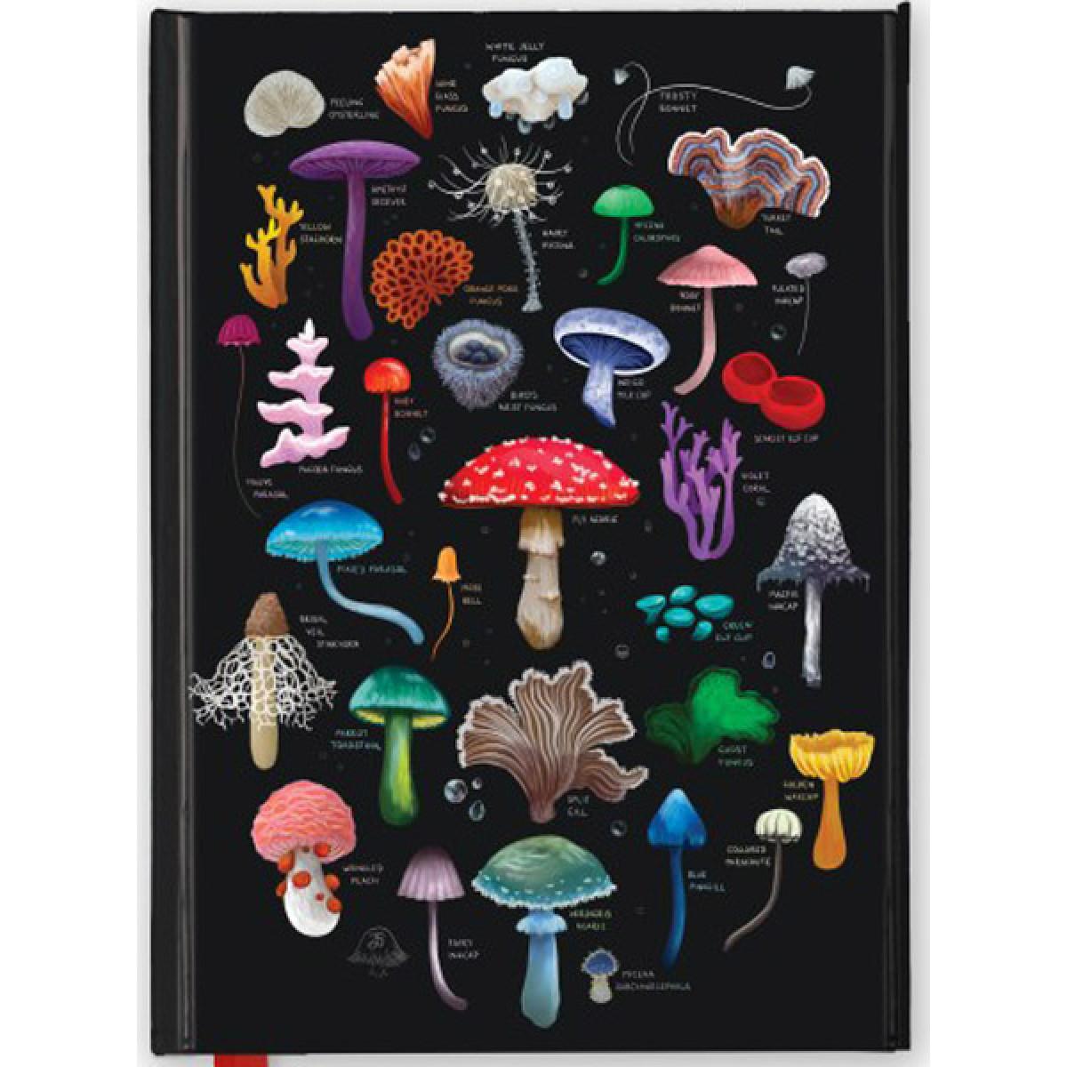 Notes ANNA STEAD: MUSHROOMS & FUNGI 